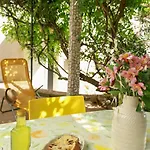 Oleander And Glicinija