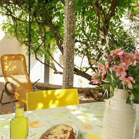 Oleander And Glicinija